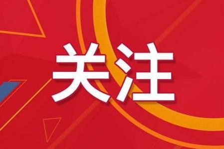 2024新奥资料免费精准175,揭秘2024新奥资料免费精准获取之道（附详细指南及技巧）