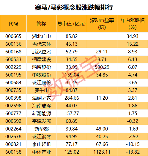 2024澳门马今晚开奖记录,澳门马今晚开奖记录——探索彩票背后的故事与期待