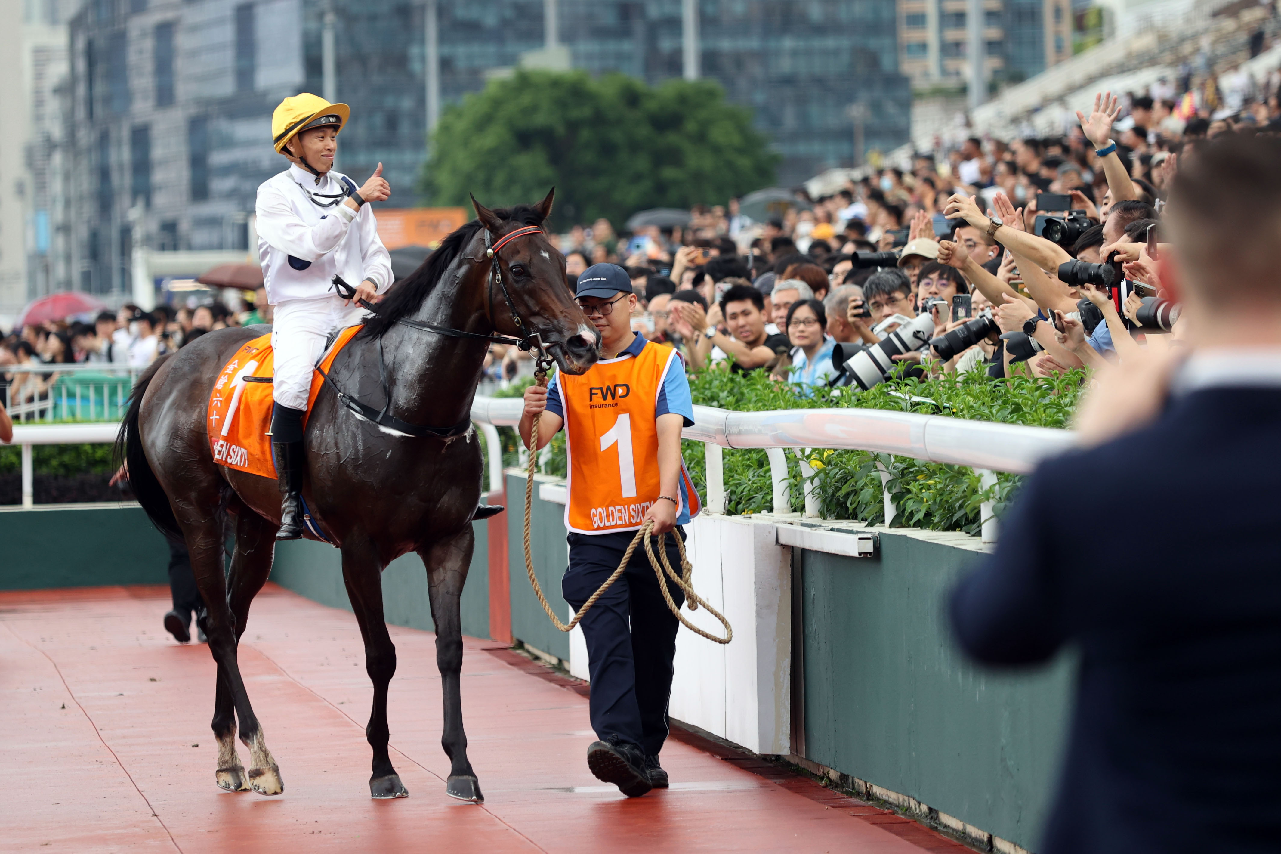 香港马买马网站www,香港马买马网站——探索赛马文化的独特魅力