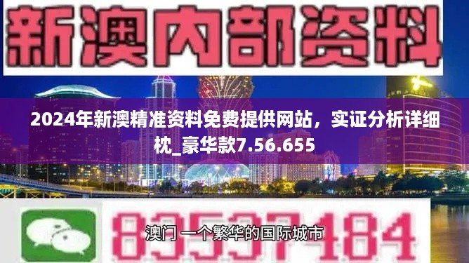 澳门精准正版资料63期,澳门精准正版资料深度解析，第63期概览